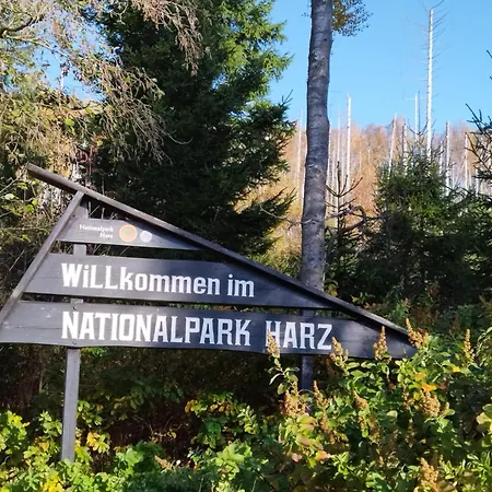 Harzlicht * Braunlage