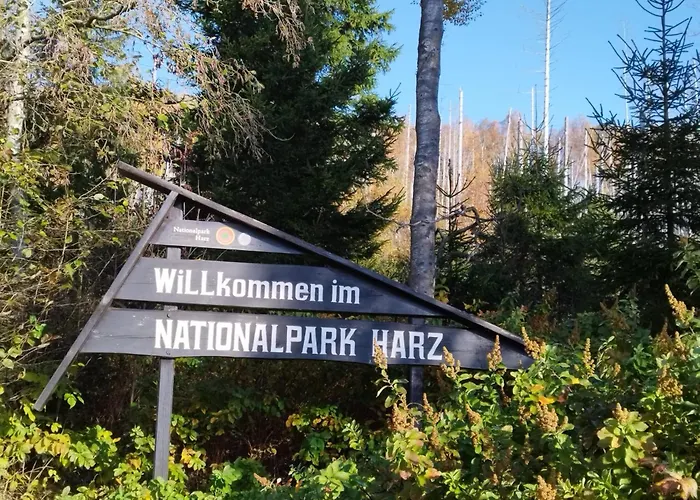 Harzlicht * Braunlage